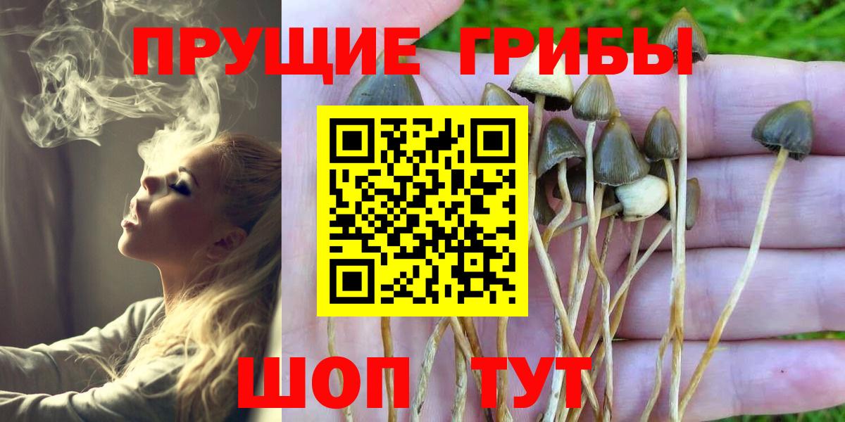 Псилоцибиновые грибы Psilocybe  Вход с VPN  закладка  Курск 